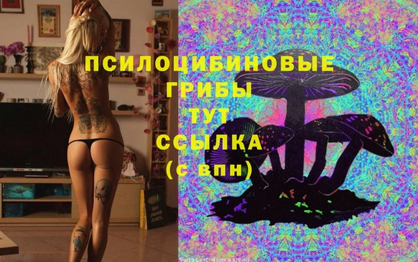 spice Покровск